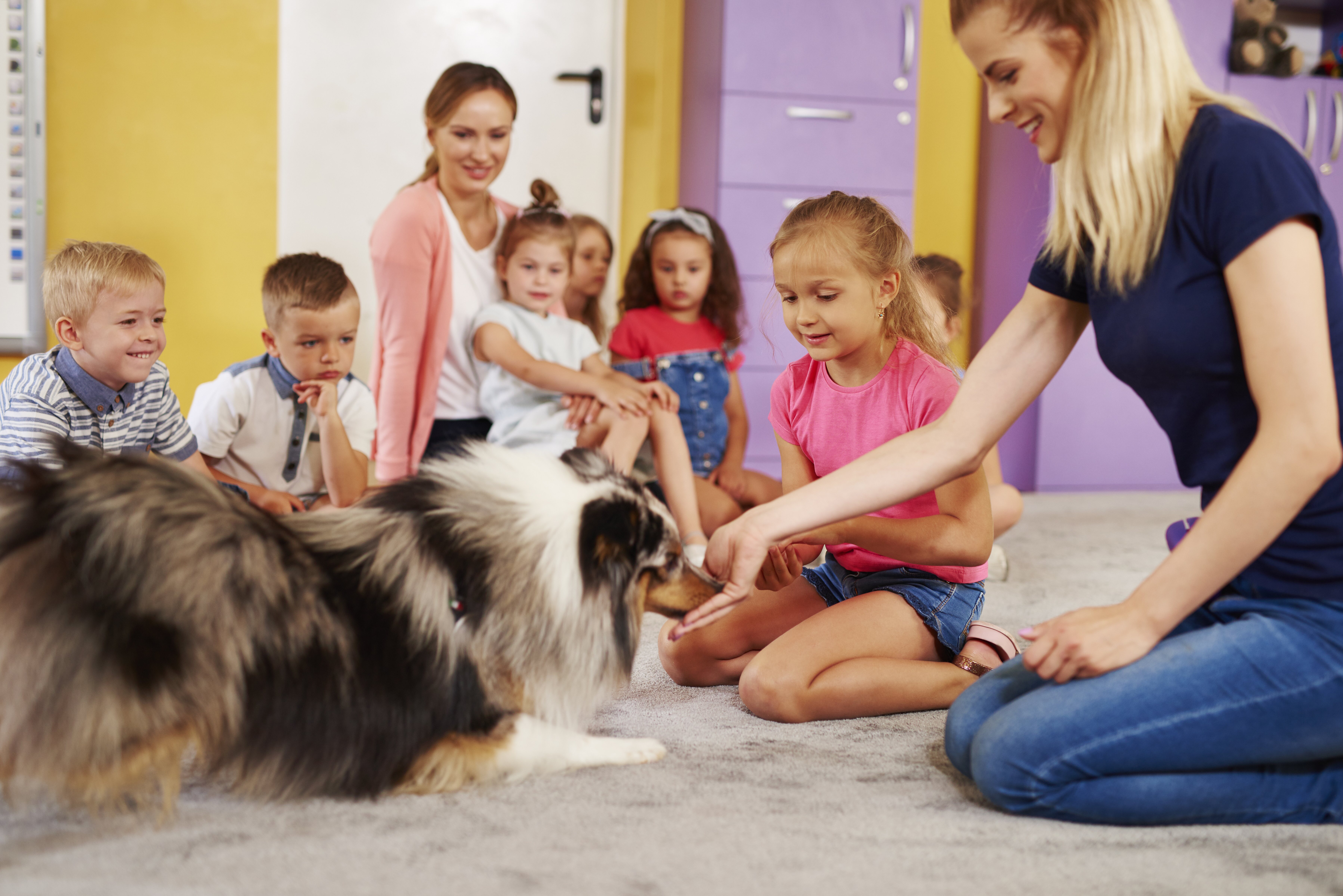 Los perros ayudan a las personas especializadas en determinadas terapias