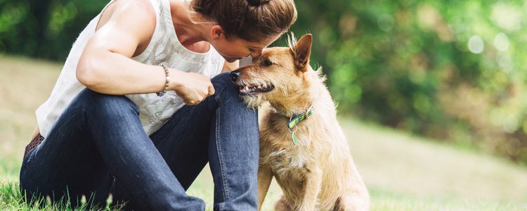 Aunque tu perro sea obediente y bueno puede suceder que tu vecino sea particular y raro 