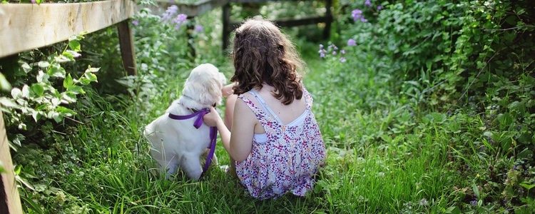 Tener una mascota aumenta el sentido de responsabilidad, sobre todo en la infancia