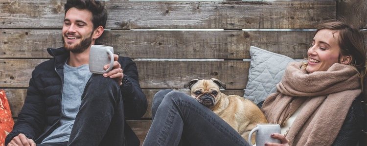 Los animales crean una gran energía positiva