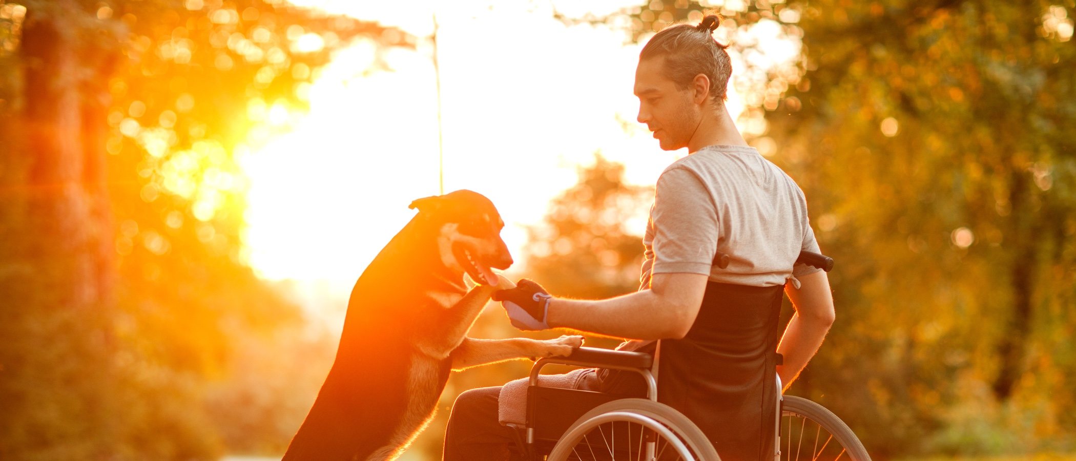 Perros de asistencia: cómo se educan para ayudar a las personas