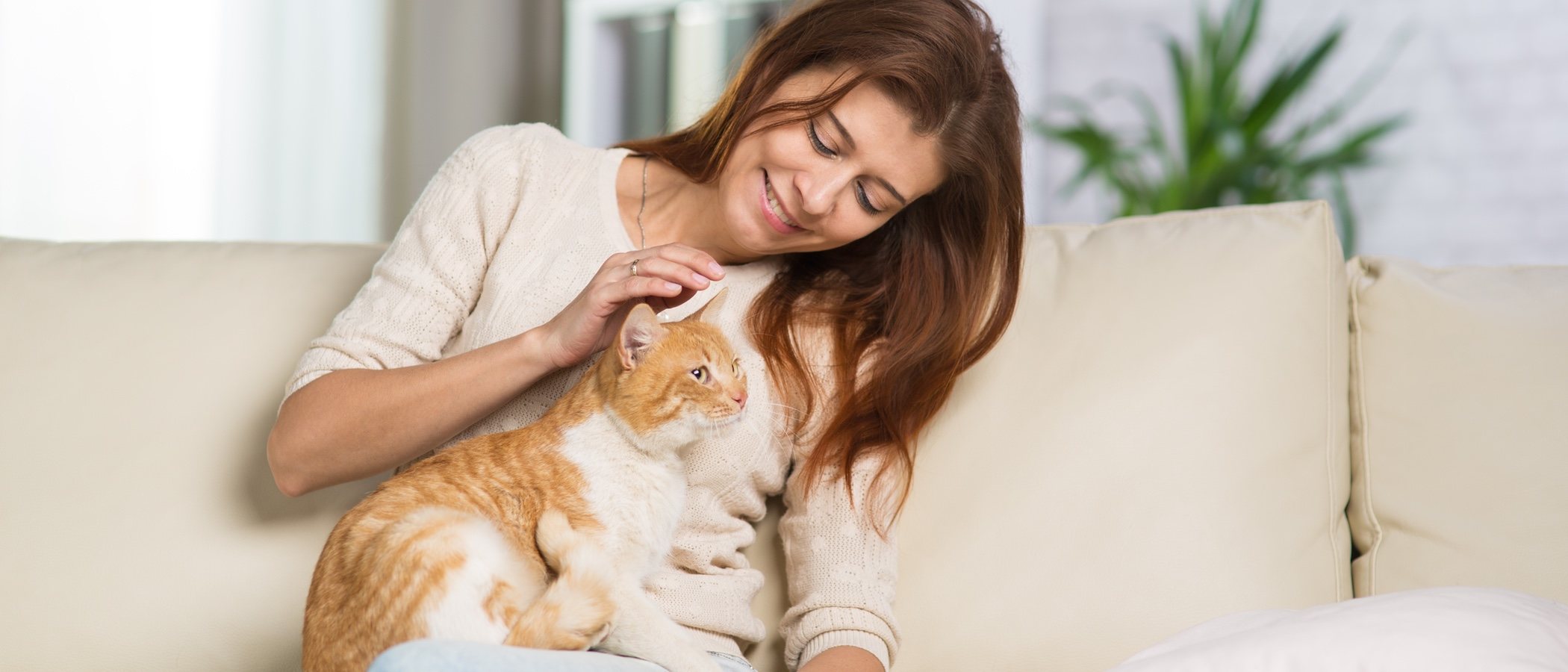 Adoptar a un gato adulto: ventajas y desventajas