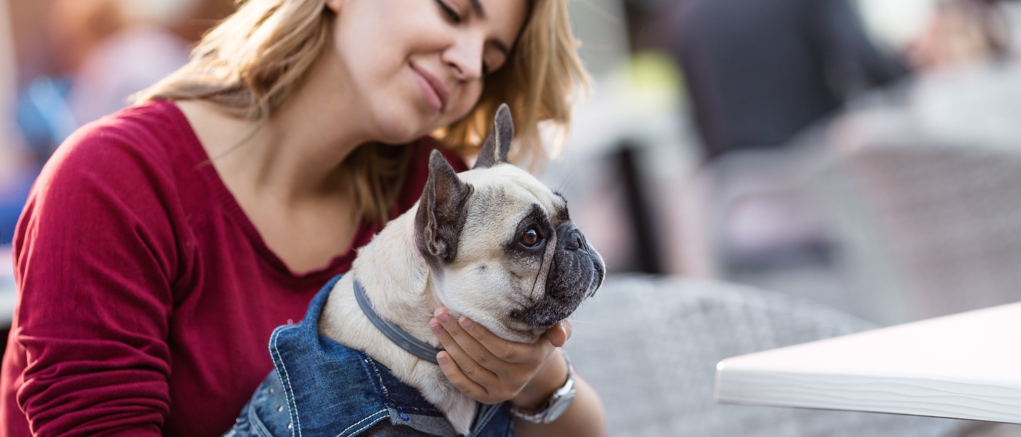 Normas para entrar con tu perro en centros comerciales