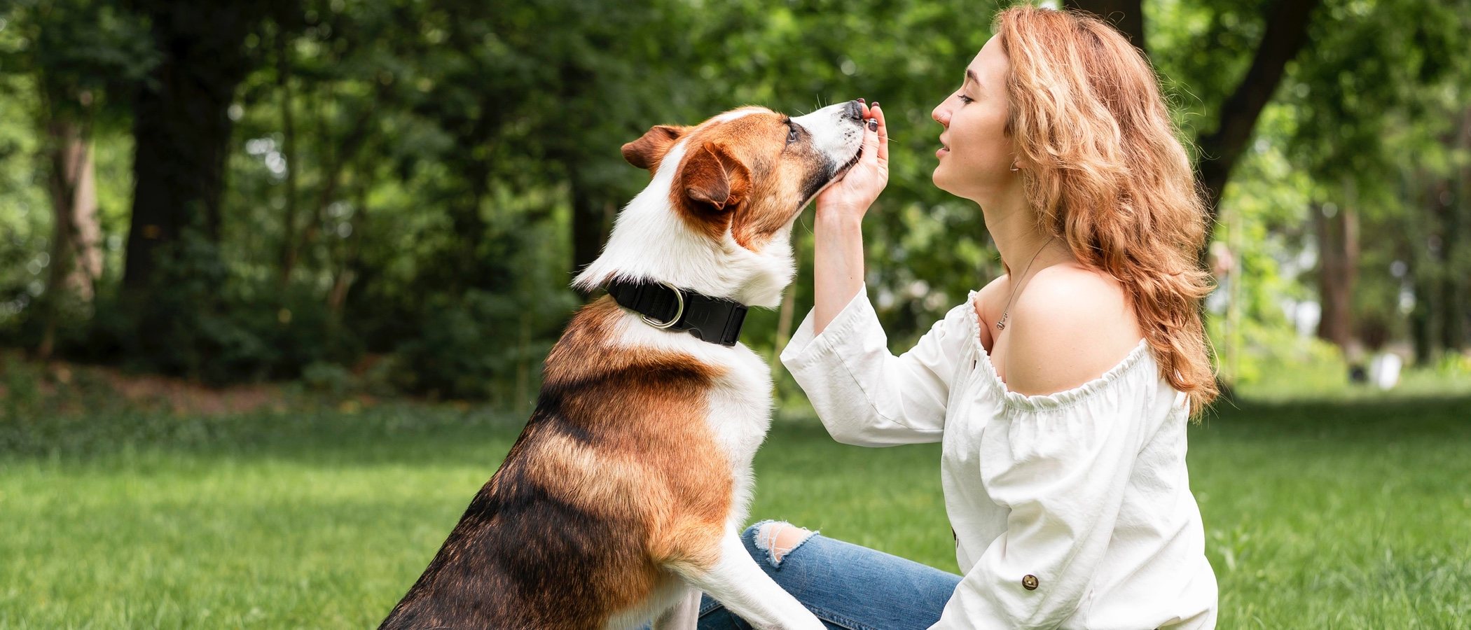 Juegos de inteligencia para perros