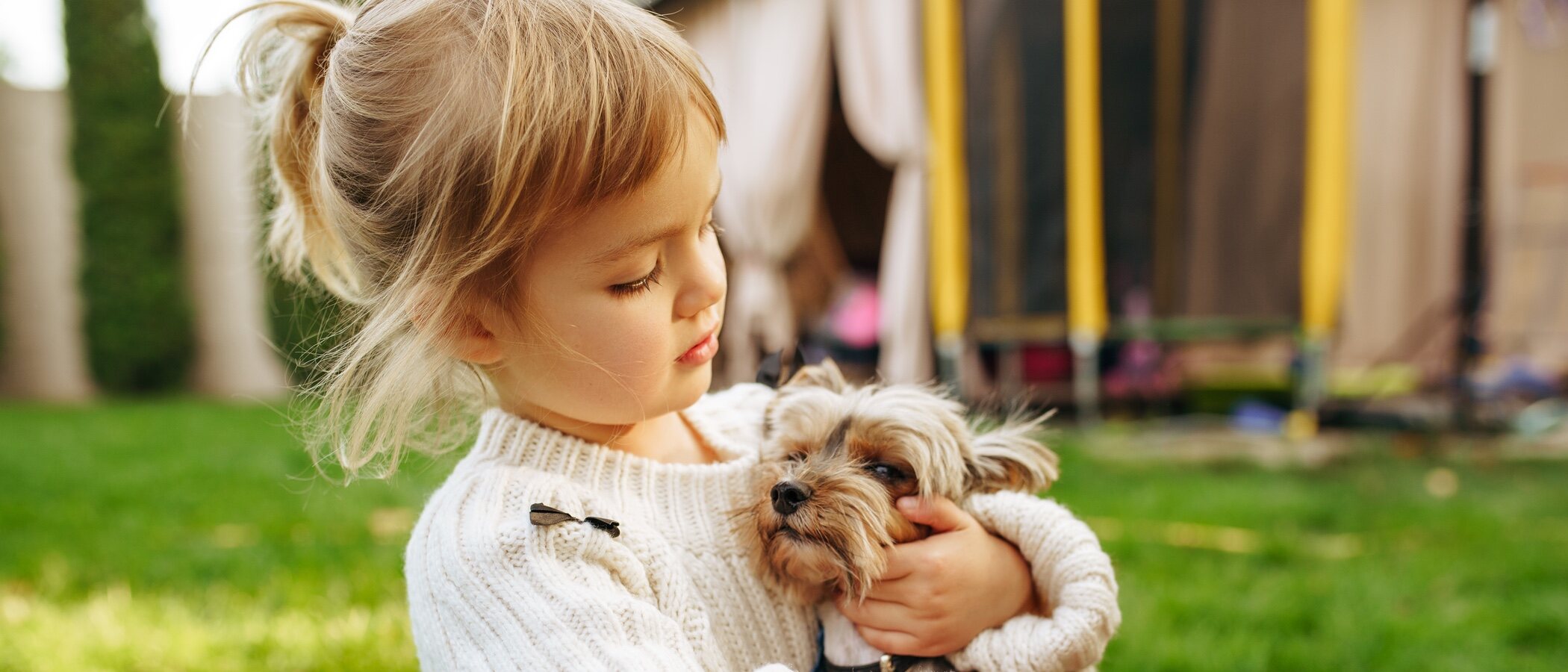 Los perros como terapia para los más pequeños: la importancia de su presencia en los hospitales