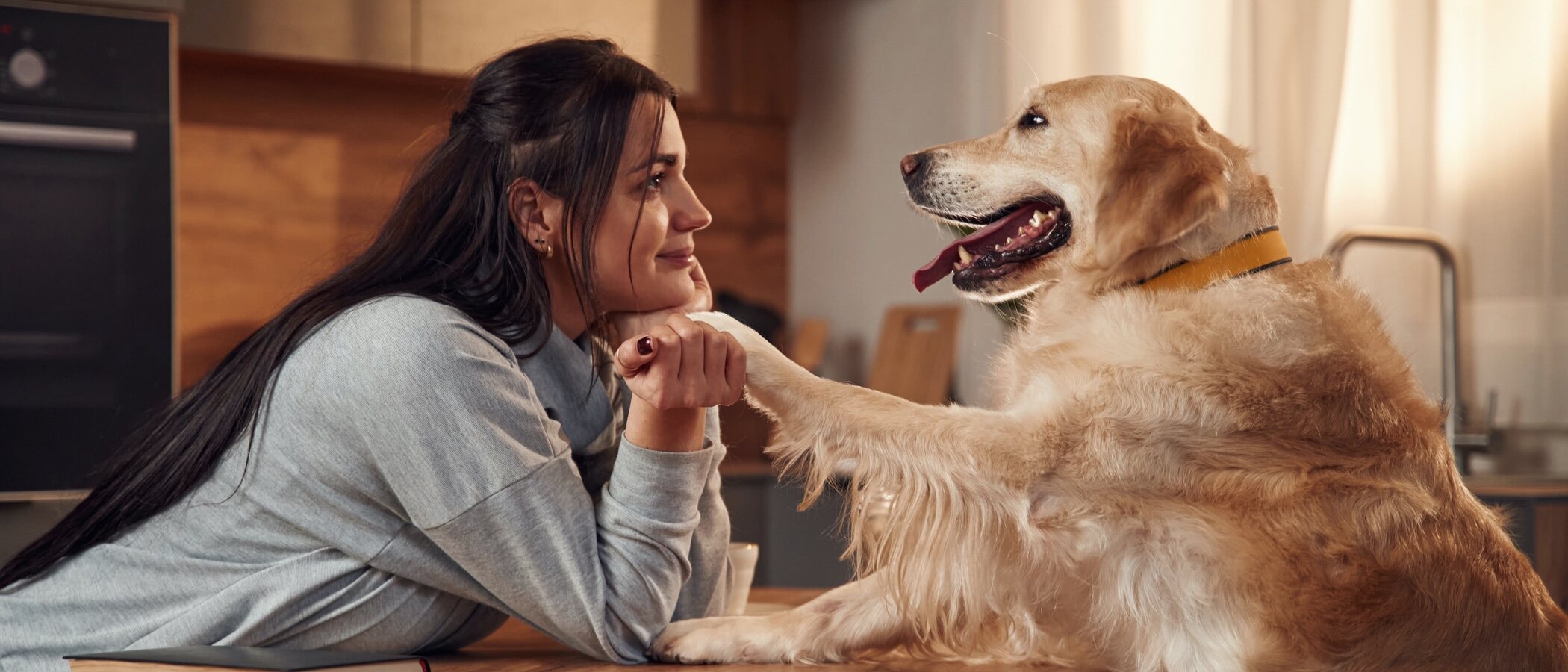 Cómo educar a un perro sordo