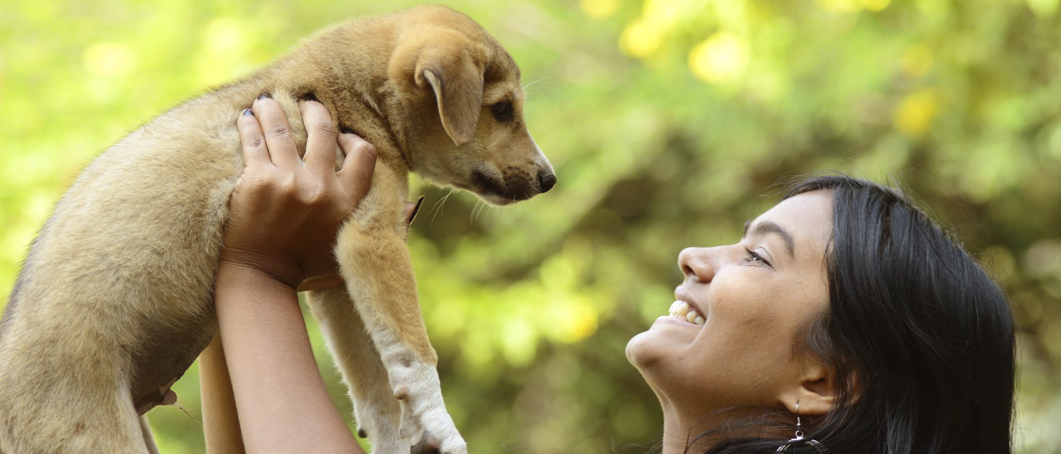Consejos a la hora de adoptar a un perro