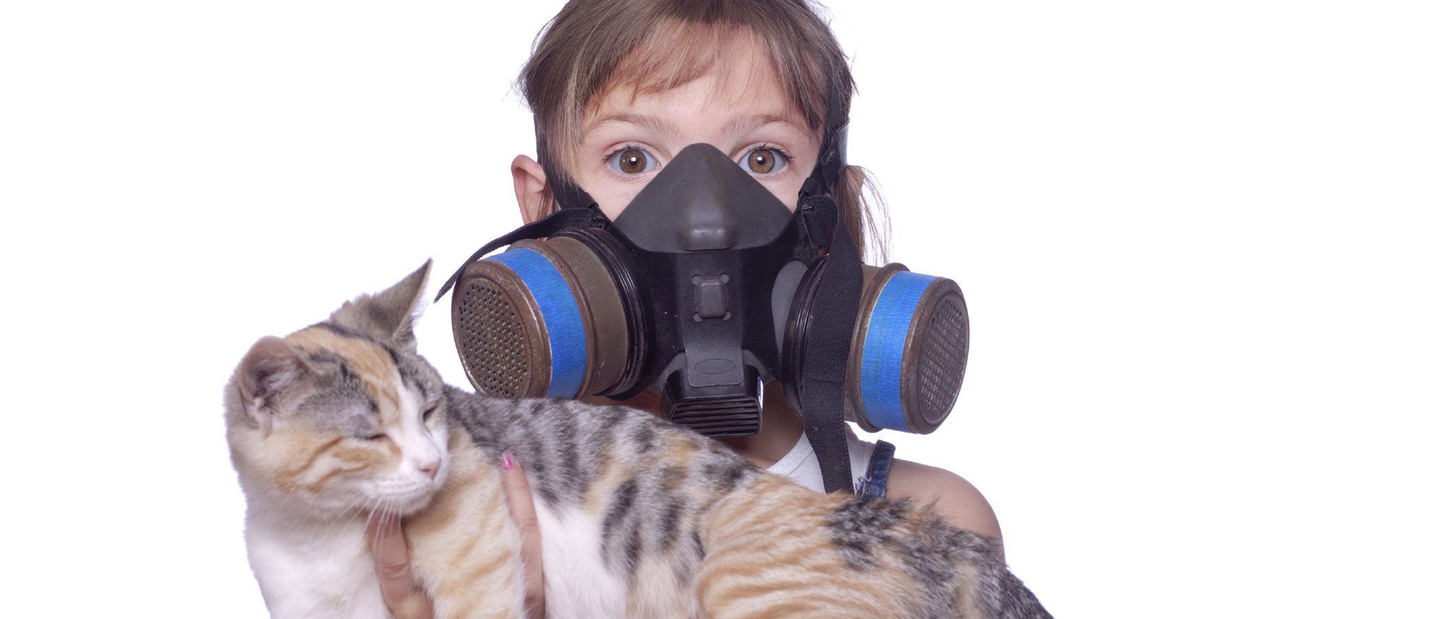 Evitar y minimizar los síntomas de la alergia a los gatos