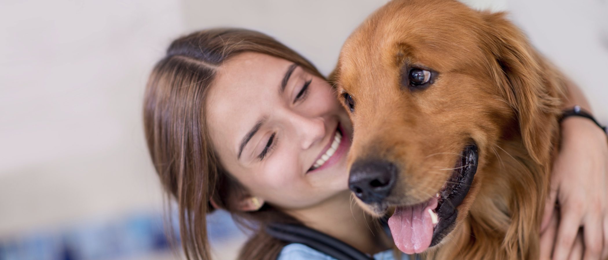 Cómo limpiar los ojos de un perro
