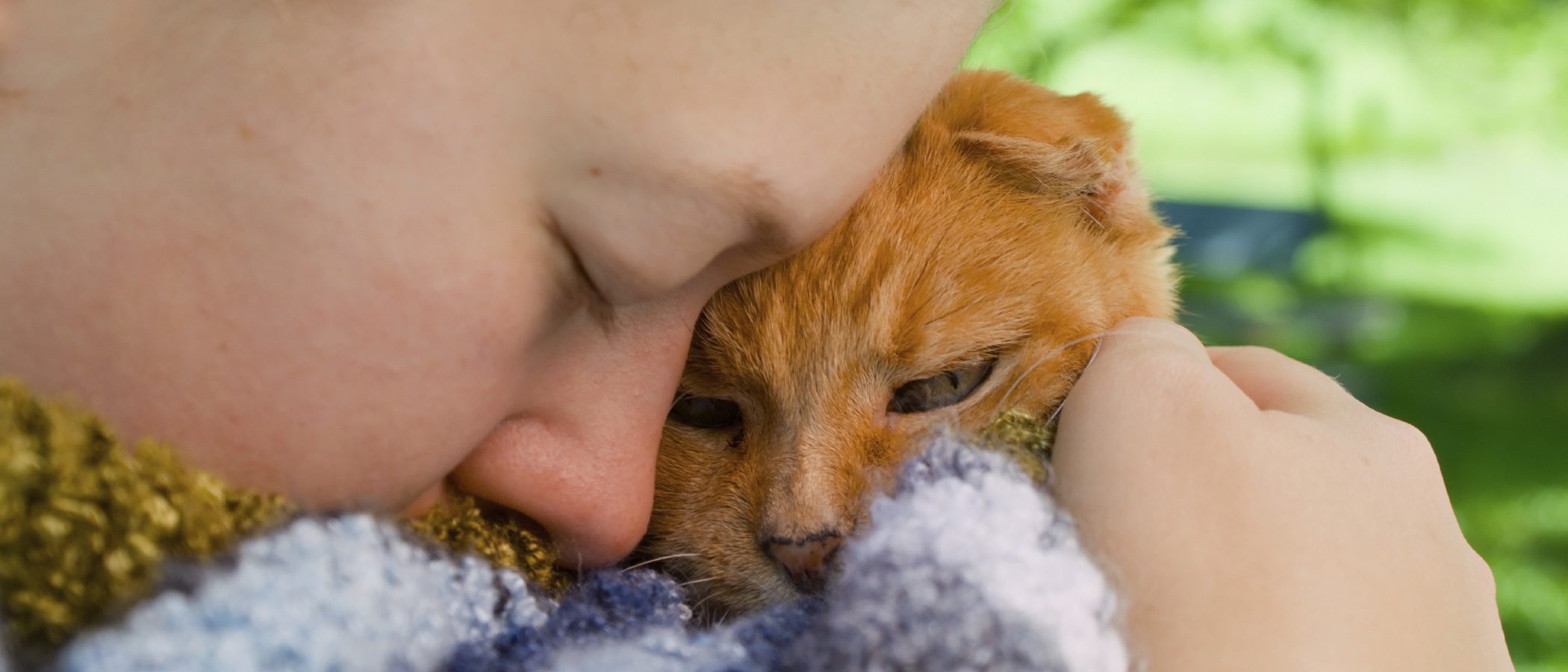 Cómo superar la pérdida de una mascota