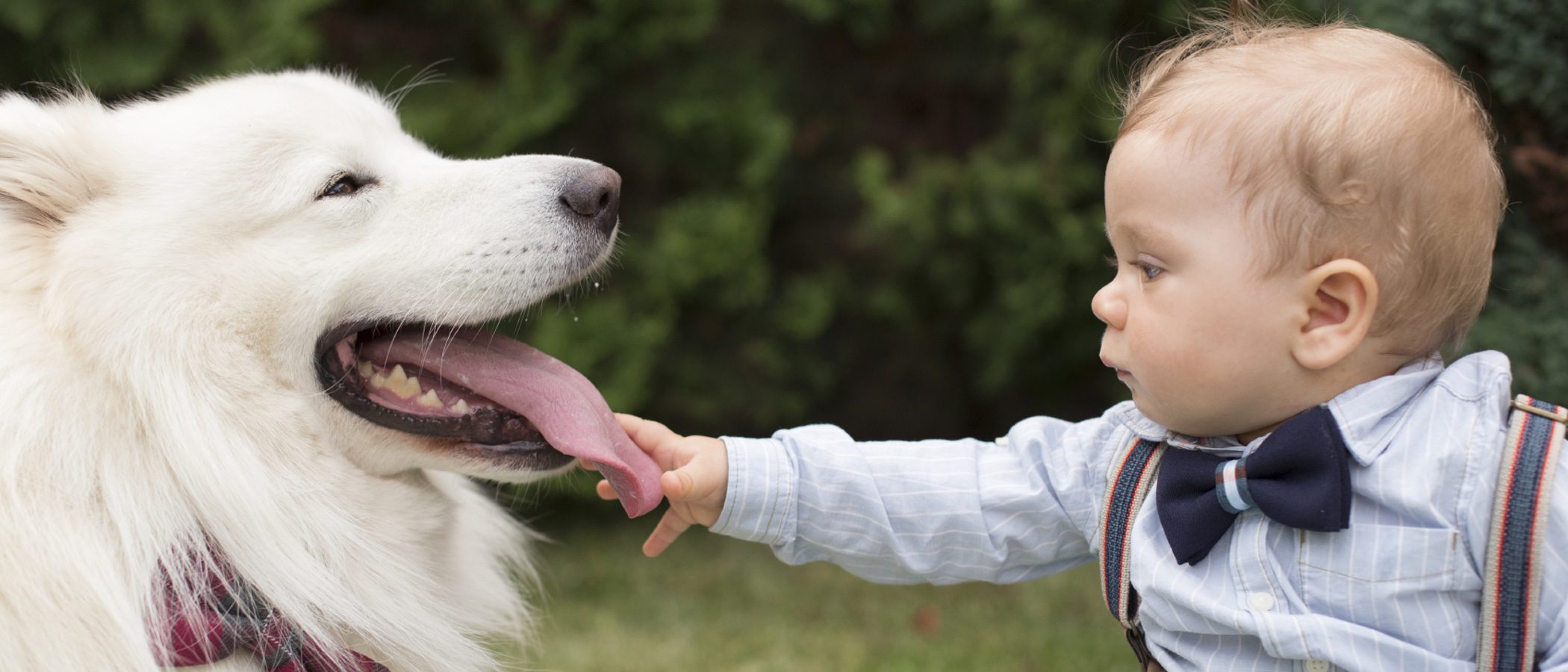 Mascotas que nunca deberías tener en casa si tienes niños pequeños