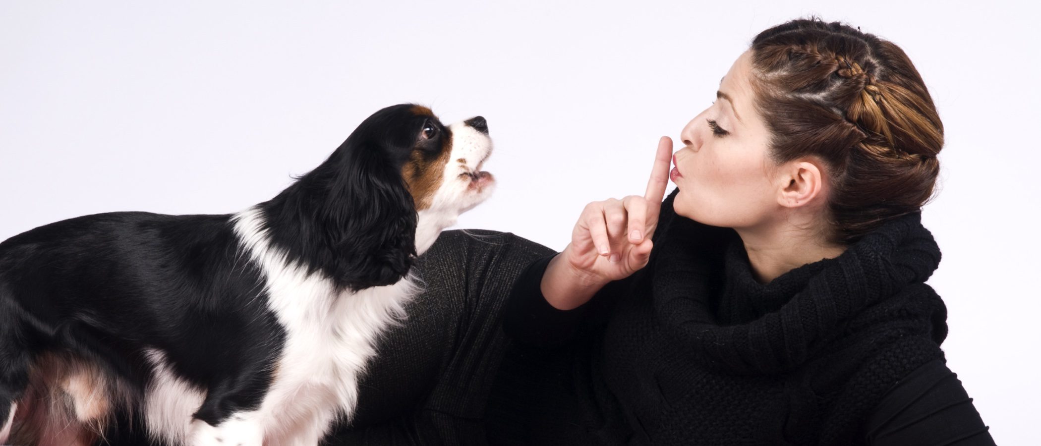 Mi perro ladra y molesta a los vecinos: ¿Qué puedo hacer?