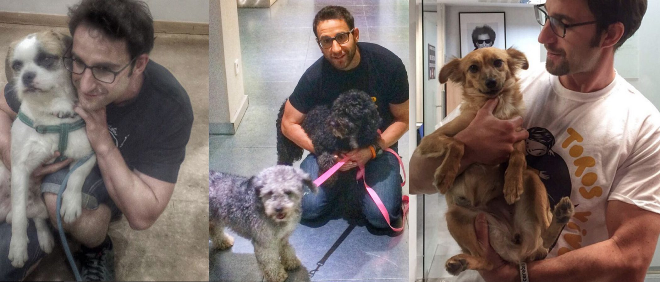 Dani Rovira, un actor implicado en la búsqueda de hogar para los animales más desfavorecidos