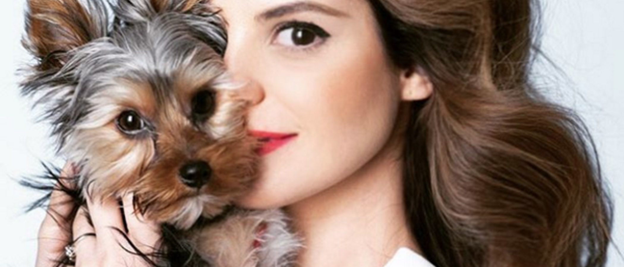 Rufus Junior: El Yorkshire Terrier 'toy' inseperable de Marta Torné