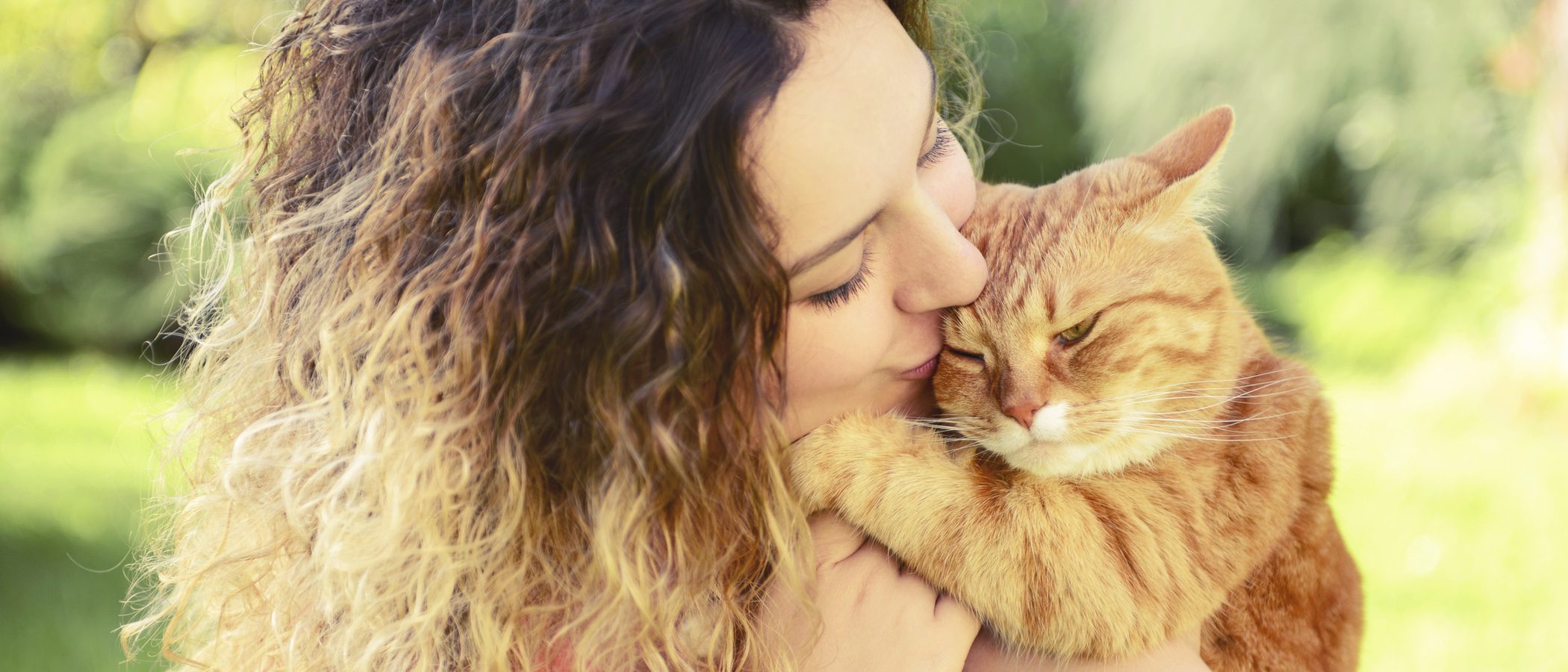 Me cambio de casa: Pautas para hacer que mi gato se integre en el nuevo ambiente