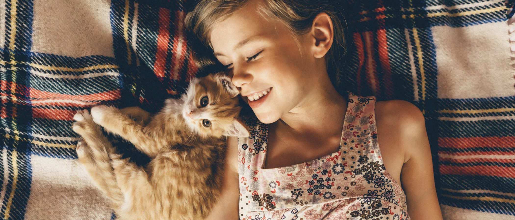Planes que hacer en verano al lado de tu gato