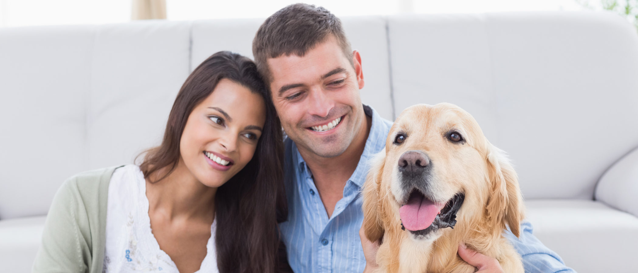 Cuando los animales son una propiedad: ¿qué pasa si me divorcio?