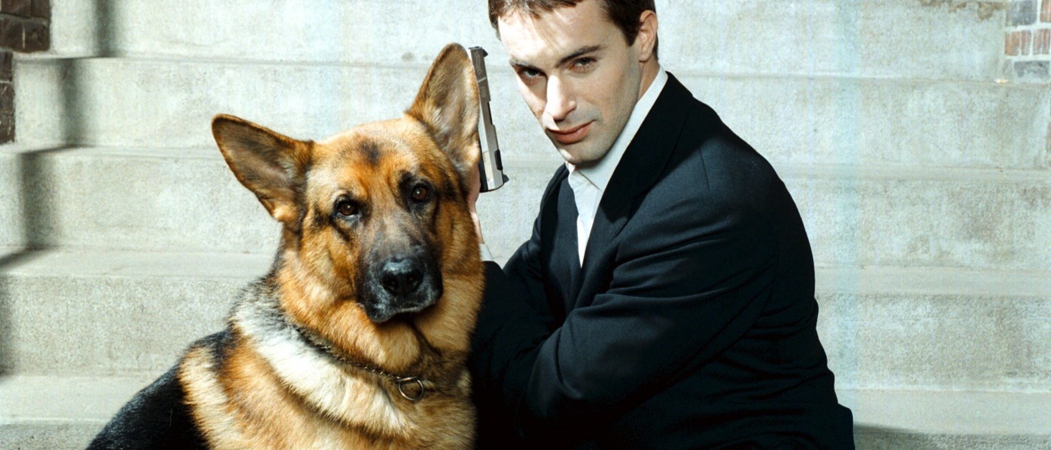 Razas de perros Policía, ¿cuáles son las más adecuadas?
