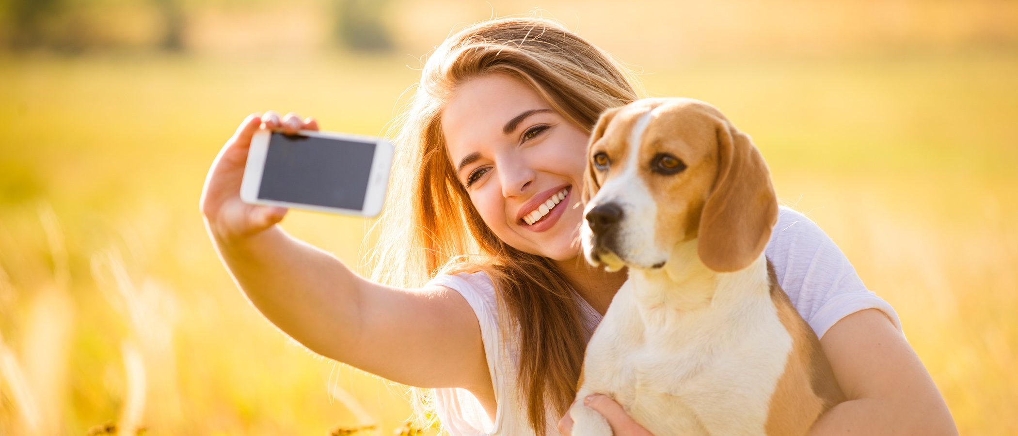 Cómo sacar buenas fotos a nuestras mascotas