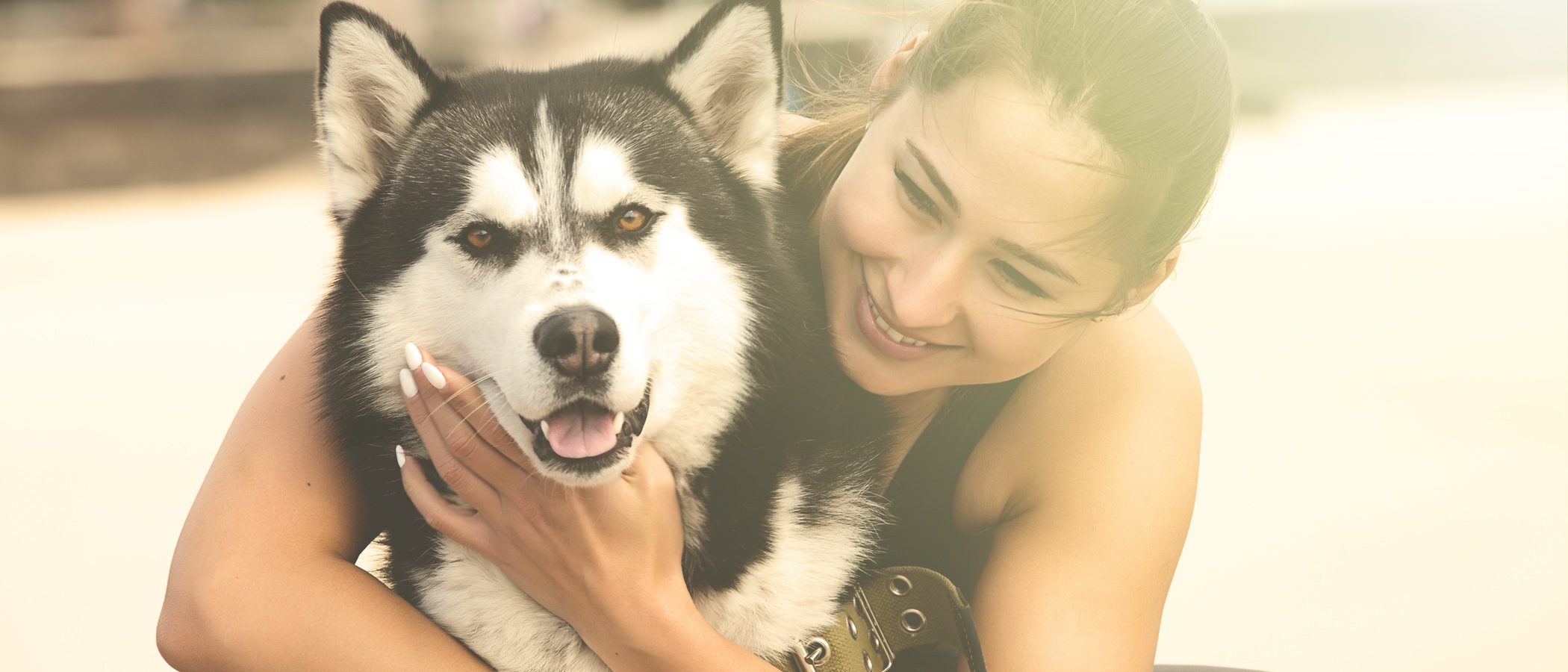 Razas de perro con un pasado sorprendente