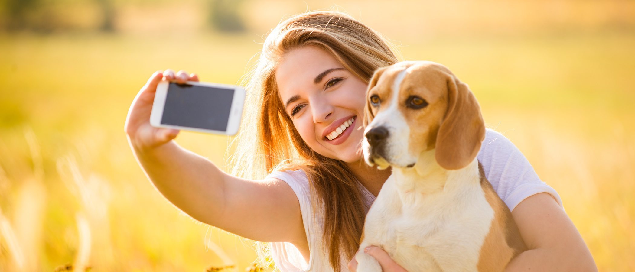 10 perros de Instagram que ya deberías seguir