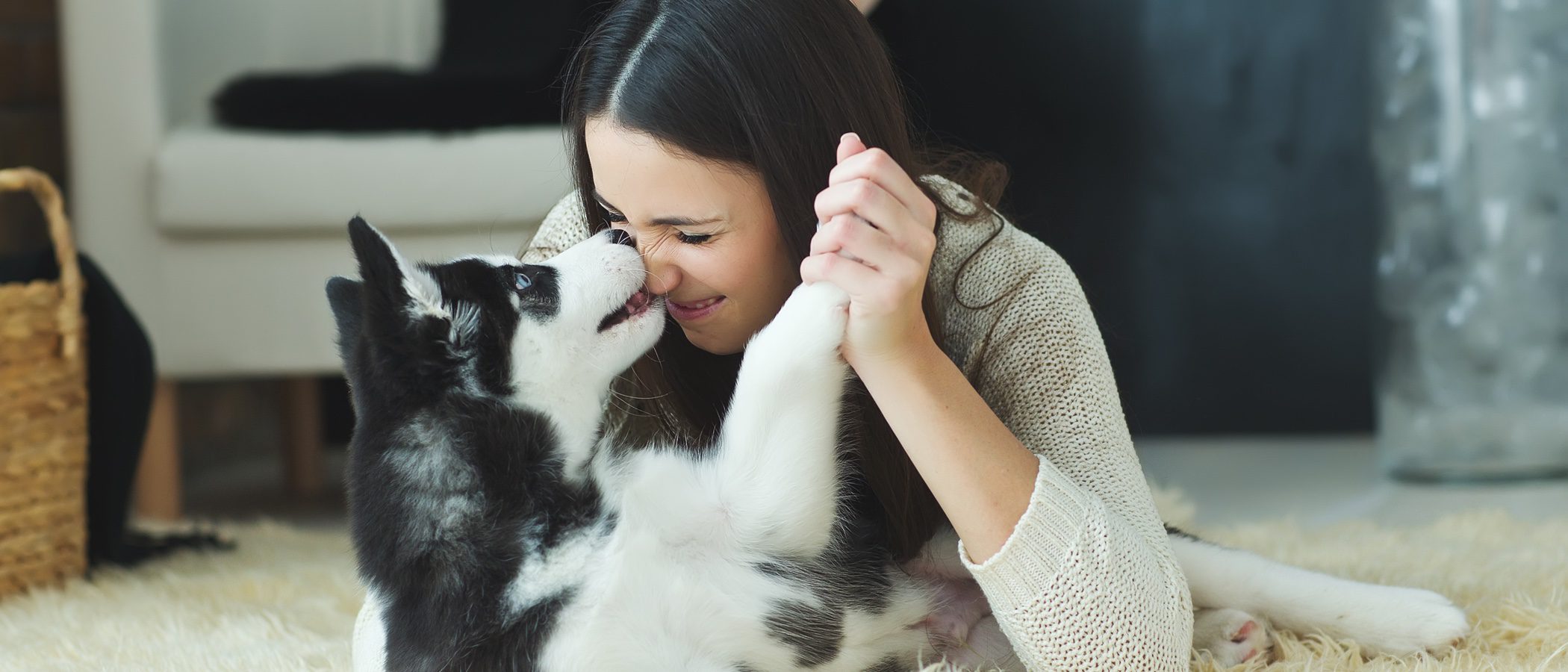 ¿Es posible cambiar el nombre a mi perro?