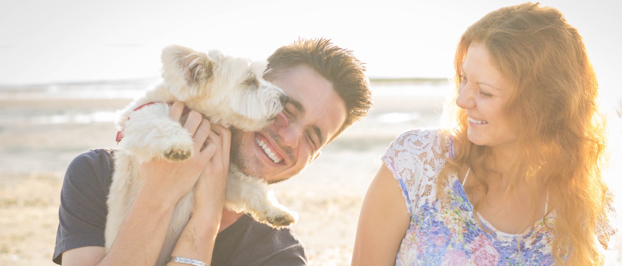 Las conductas más sorprendentes en los perros