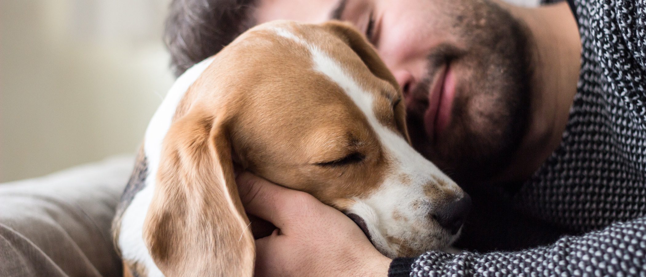 Descubre todo lo que debes saber sobre el embarazo canino