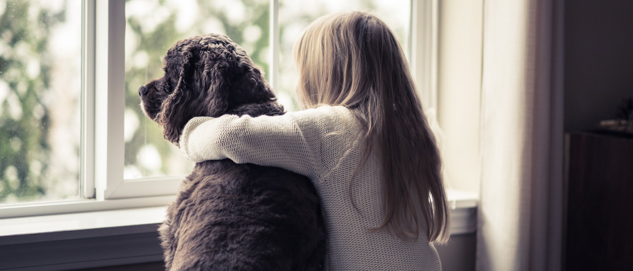 La adaptación de un perro adoptado a su nuevo hogar