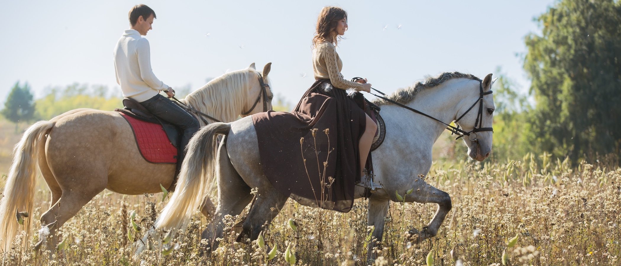 ¿Se puede tener un caballo como mascota?