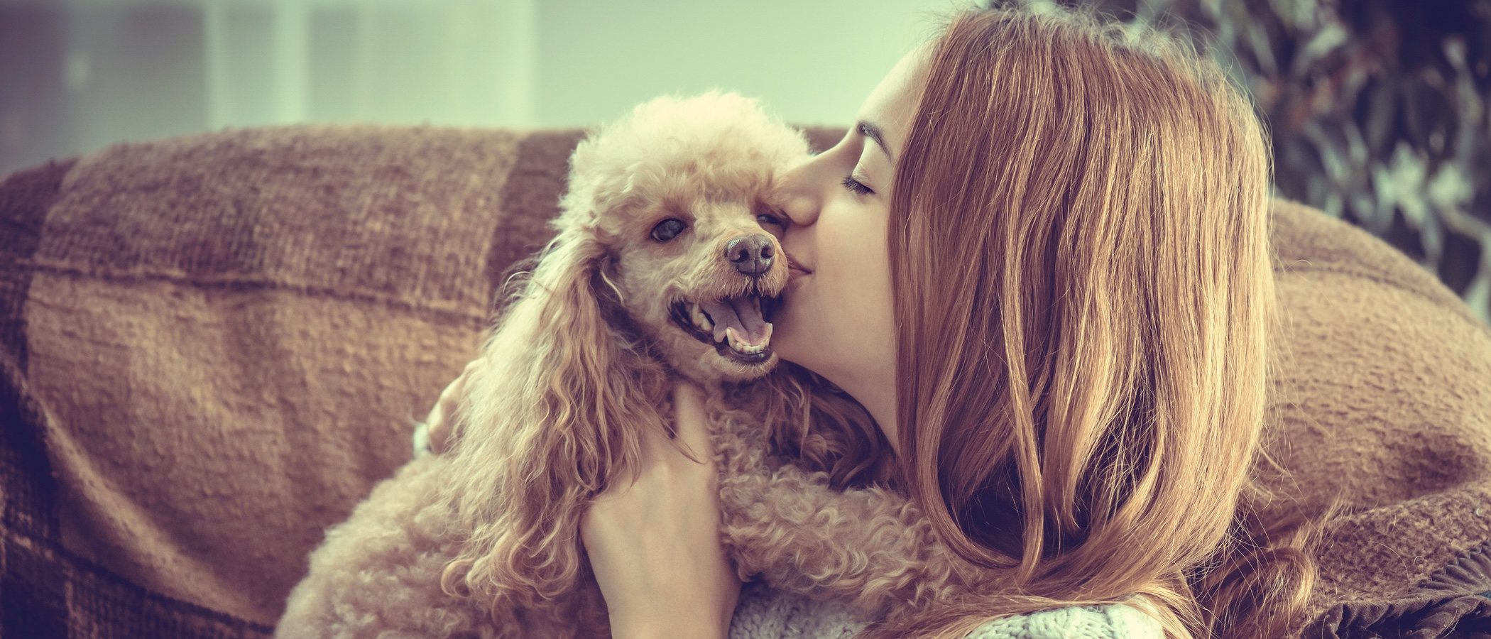 Cómo decirle a tu perro que le quieres