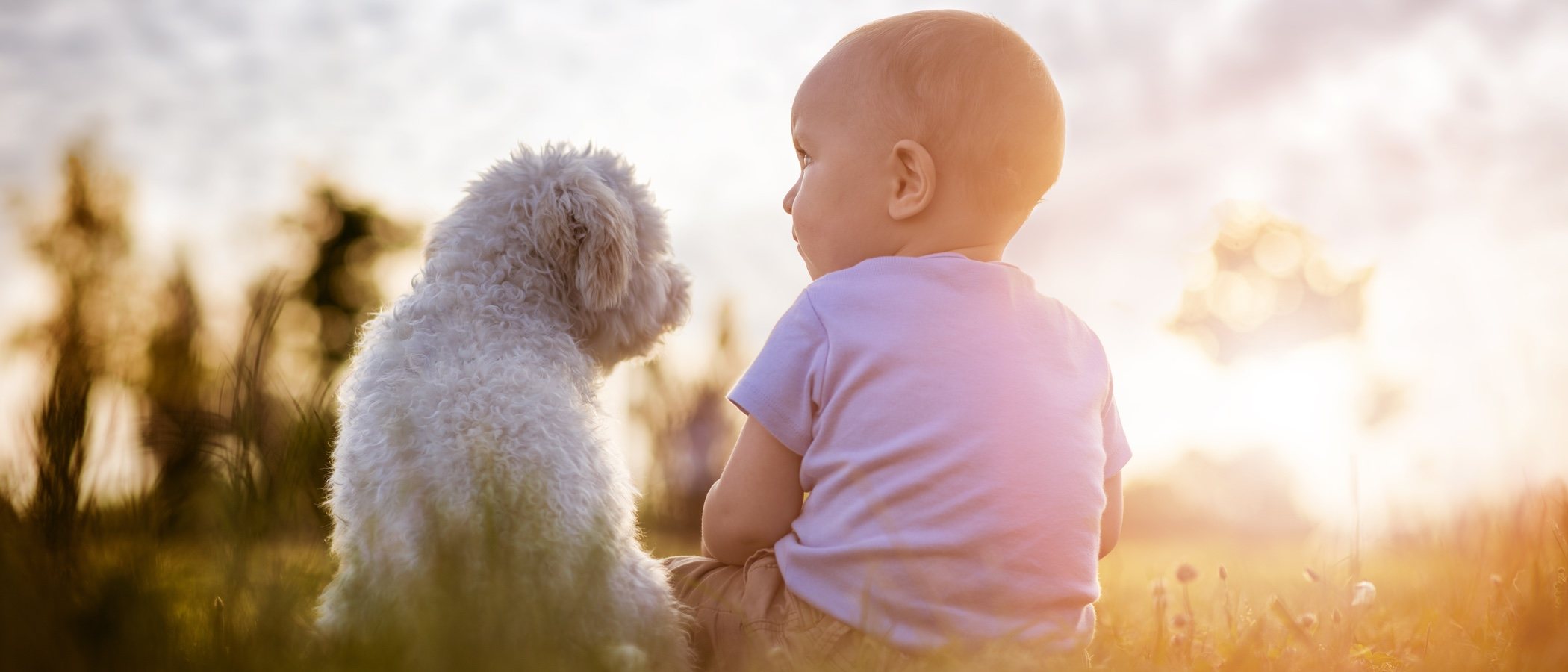 Mi perro tiene celos de mi bebé ¿Qué hago?