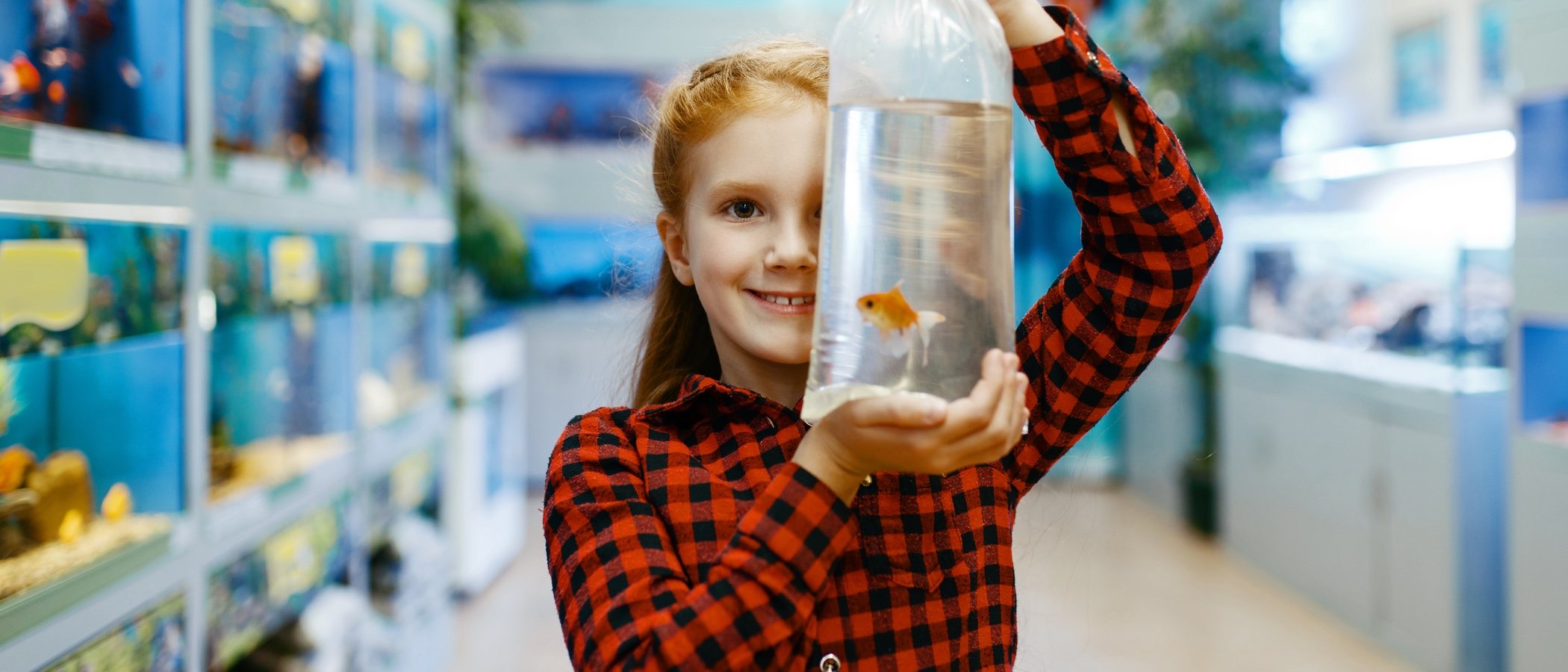 Cómo transportar a un pez cuando sale del acuario