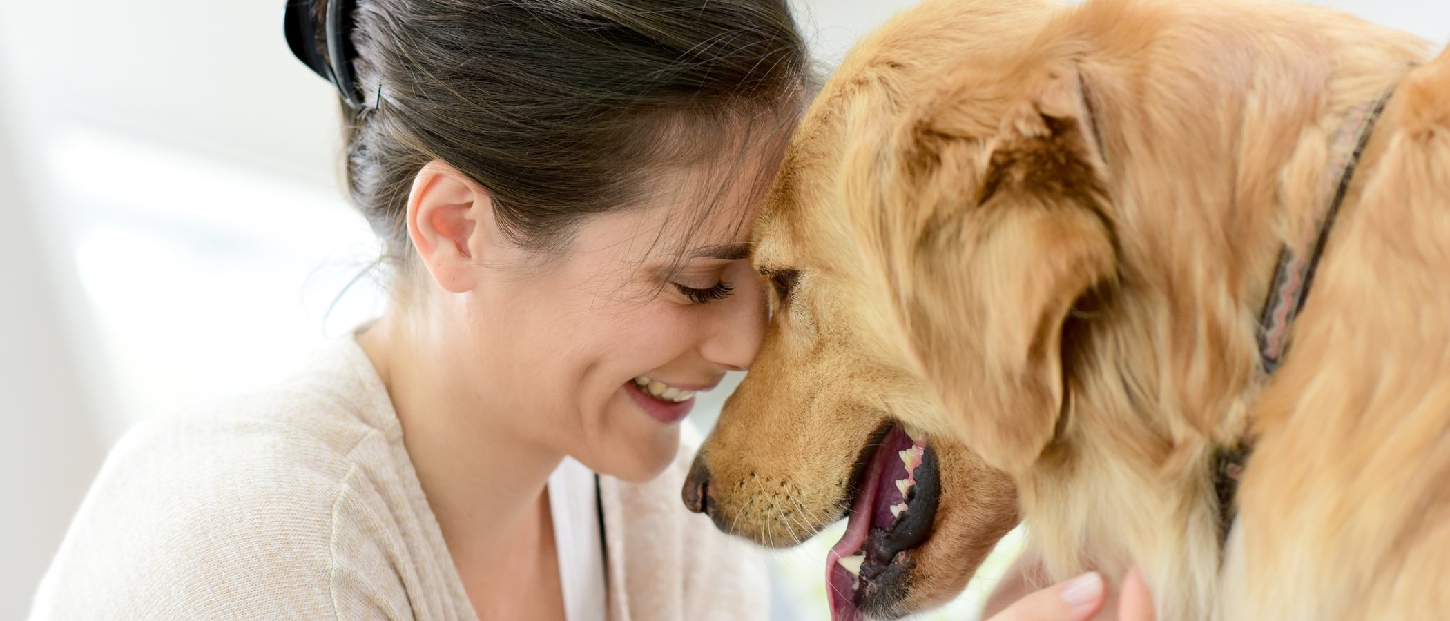 Proyecto PEPO: perros de protección para víctimas de la violencia de género