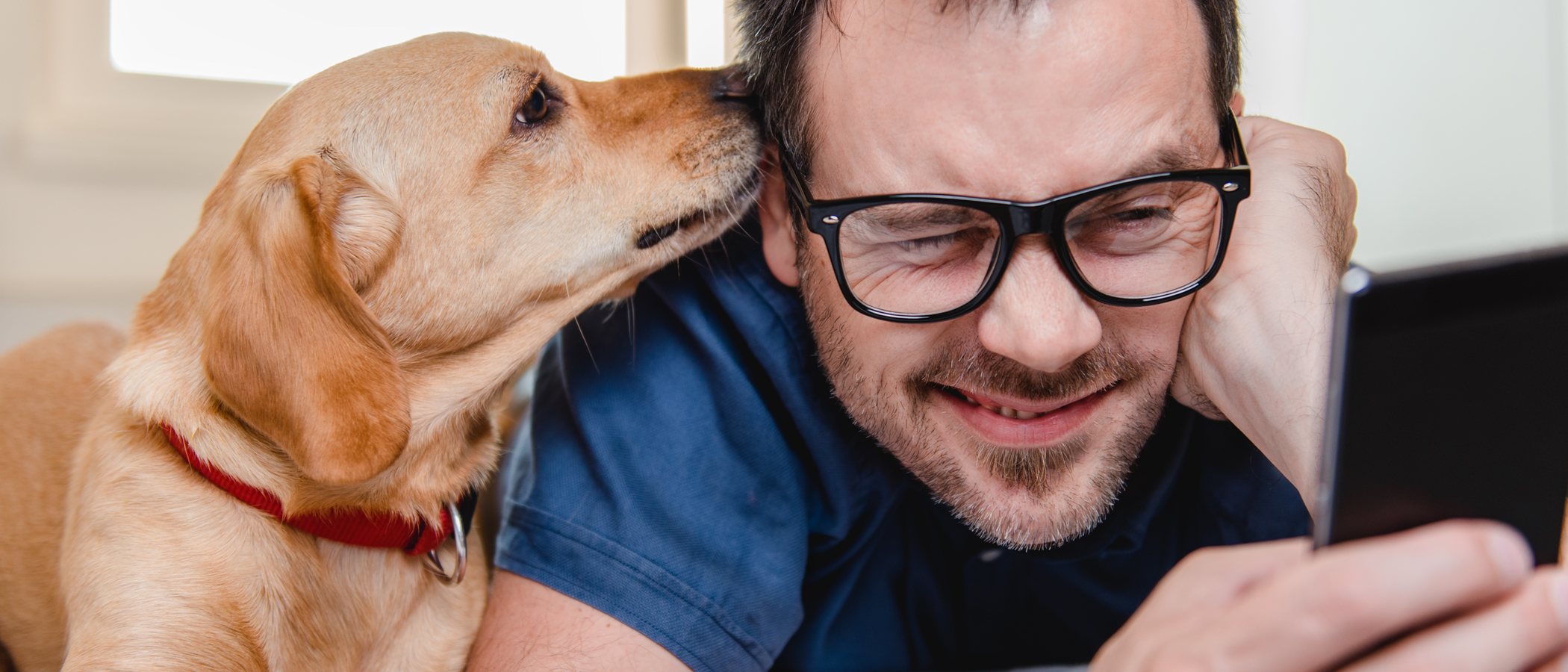 Finding Rover: Reconocimiento facial para encontrar perros perdidos