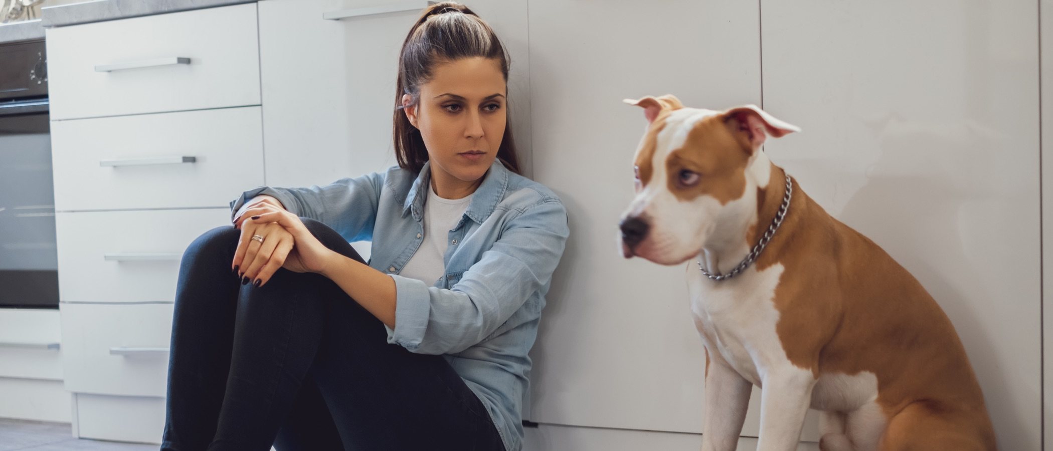 Cómo es el lenguaje corporal de los perros