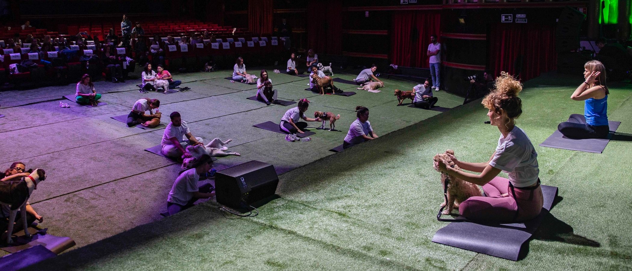 Yoga para perros: todo lo que necesitas saber para practicarlo