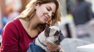 Normas para entrar con tu perro en centros comerciales