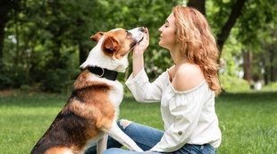 Juegos de inteligencia para perros