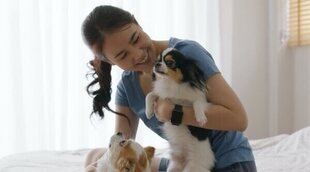 ¿Por qué se prefieren las mascotas a los hijos en la sociedad actual?