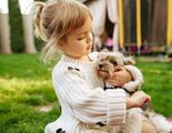 Los perros como terapia para los más pequeños: la importancia de su presencia en los hospitales