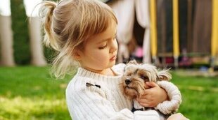 Los perros como terapia para los más pequeños: la importancia de su presencia en los hospitales