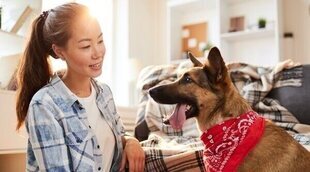 Viajar con perros grandes en tren: una realidad cada vez más cercana