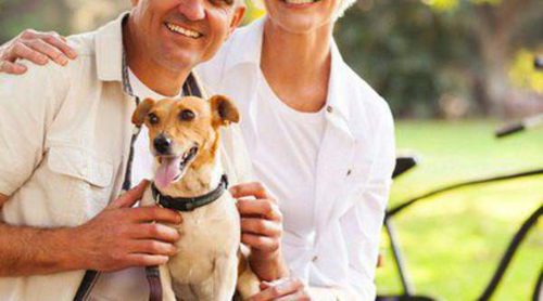 Razas de perros adecuadas para vivir con gente mayor