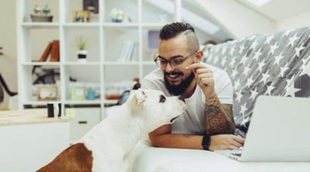Me cambio de casa: Pautas para hacer que mi perro se integre en el nuevo ambiente