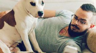 Consigue que tu perro aprenda a dar la pata