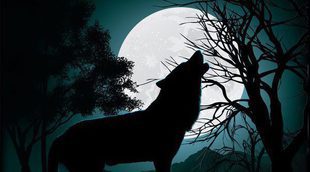 ¿Afecta la luna llena a los perros?