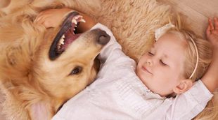 Enseña a tus hijos a cuidar de su mascota a través del juego