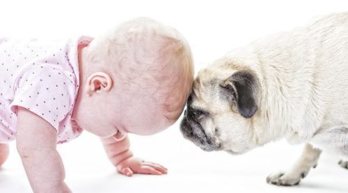 Head Pressing