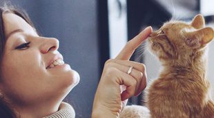 ¿De qué colores pueden los gatos tener los ojos?